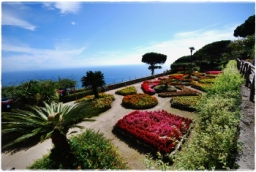 ravello_DSC_8361.JPG