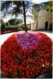 ravello_DSC_8366.JPG