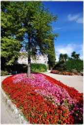 ravello_DSC_8367.JPG