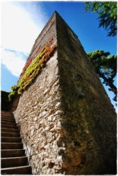 ravello_DSC_8376.JPG