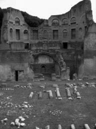 palatino_20.jpg