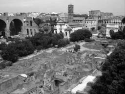 palatino_43.jpg
