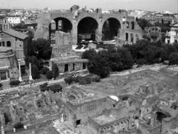 palatino_44.jpg