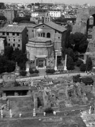 palatino_45.jpg