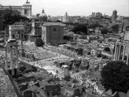 palatino_48.jpg