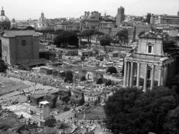 palatino_56.jpg