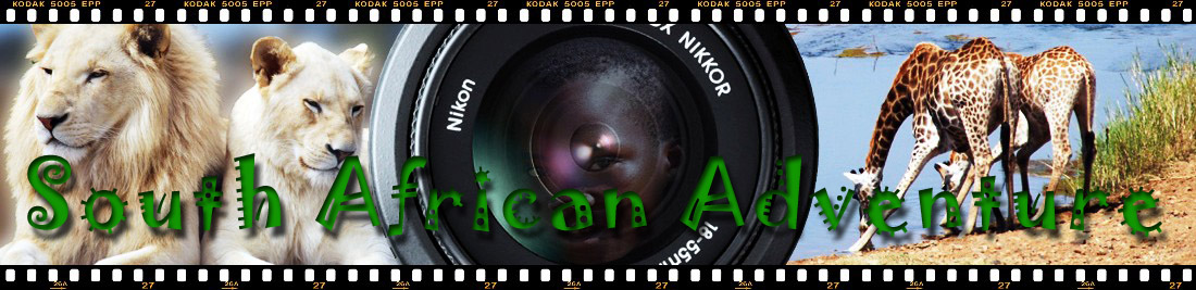 Ashka Travel Pictures. South Africa, south african adventure, Sud Africa, travel to south africa, podroz do rpa, republika poludnowej afryki, sud africa