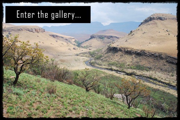 uKhahlamba Drakensberg Park, Cathedral Peak Nature Reserve, Giant's Castle National Reserve