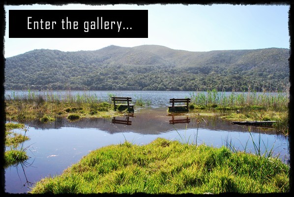 Tsitsikamma National Park, Nature's Valley, Storms River Mouth, Bloukrans River Bridge Bungee, Knysna