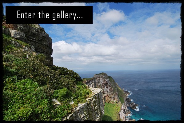 Kapsztad, Green Point, Muizenberg, False Bay, Fish Hoek, Simon's Town, Boulder's Beach, kolonia pingwinów, Cape Point National Park, Park Narodowy Półwyspu Przylądkowego, Przylądek Dobrej Nadziei, Obserwowanie wielorybów, Simon's Town, Muinzenberg