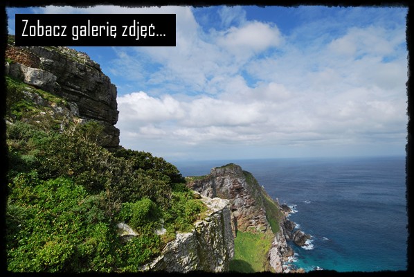 Kapsztad, Green Point, Muizenberg, False Bay, Fish Hoek, Simon's Town, Boulder's Beach, kolonia pingwinów, Cape Point National Park, Park Narodowy Półwyspu Przylądkowego, Przylądek Dobrej Nadziei, Obserwowanie wielorybów, Simon's Town, Muinzenberg