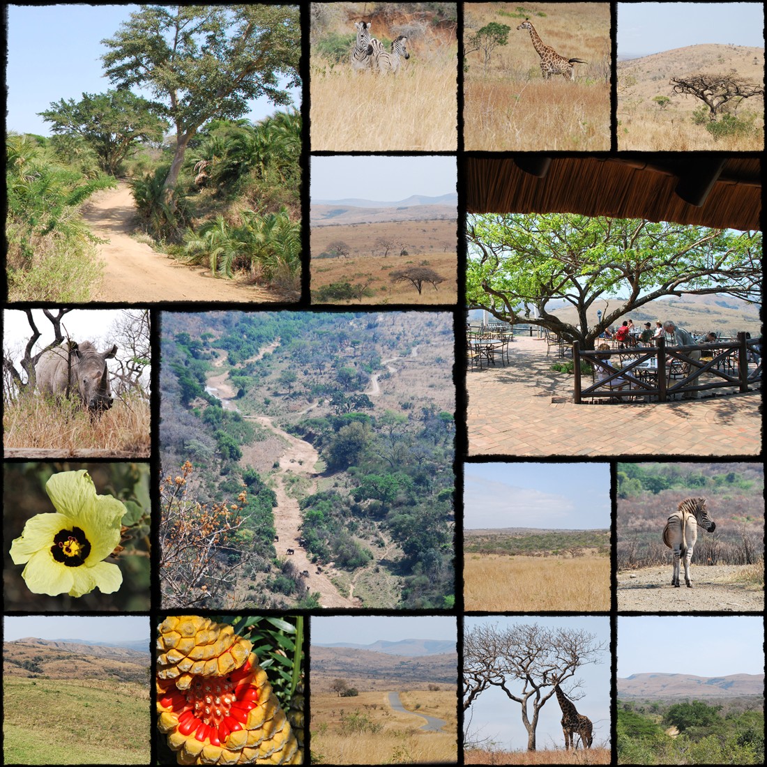 Hluhluwe - Infolozi Park, cz Hluhluwe, iSimangaliso Wetland Park, Sodwana Bay, rpa