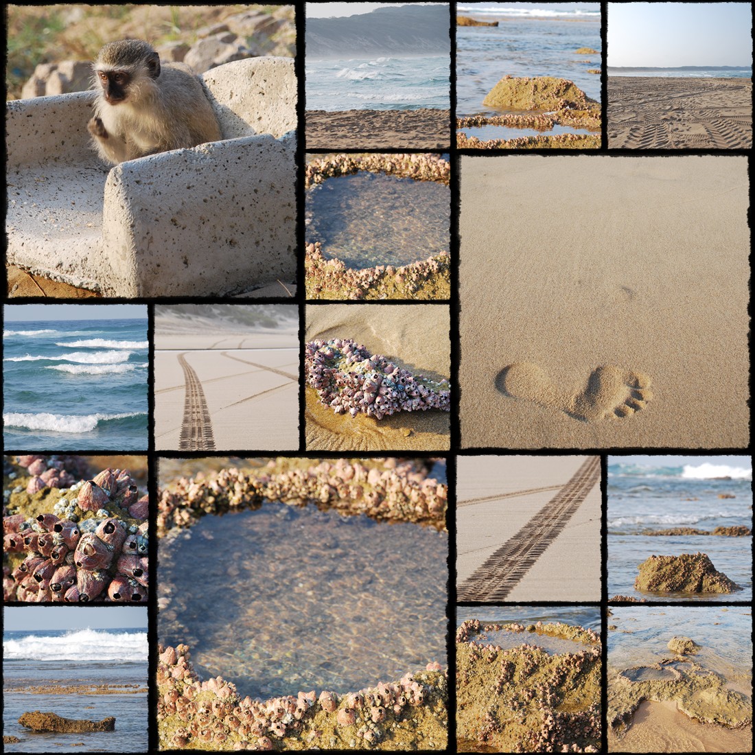 Hluhluwe - Infolozi Park, cz Hluhluwe, iSimangaliso Wetland Park, Sodwana Bay, rpa