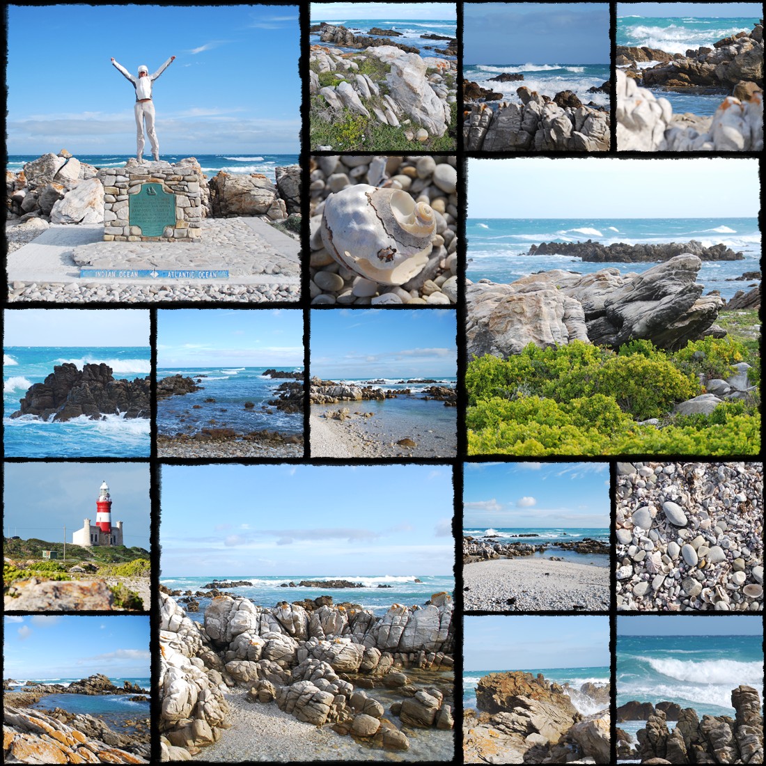 Mossel Bay, Jukani Wildlife Sanctuary, Cape Agulhas, Przyldek Igielny, Hermanus, white leon, leone bianco, bialy lew