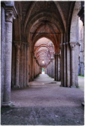 abbazia_san_galgano_10.JPG
