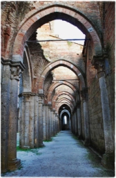 abbazia_san_galgano_7769.JPG