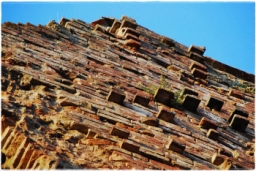 abbazia_san_galgano_7799.JPG