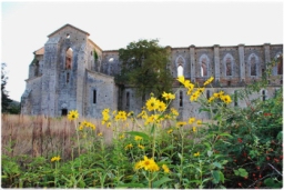 abbazia_san_galgano_7807.JPG