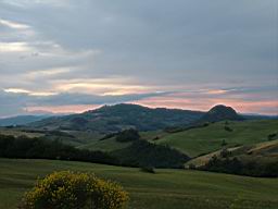 volterra