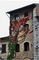 san_gimignano_DSC_7877.JPG