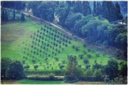 san_gimignano_DSC_7944.JPG
