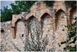 san_gimignano_DSC_7951.JPG