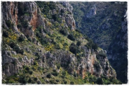 matera_821.JPG
