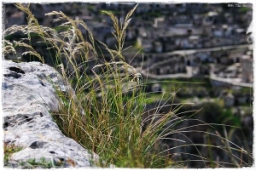 matera_824.JPG