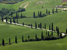Val d'Orcia