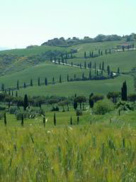 Val d'Orcia