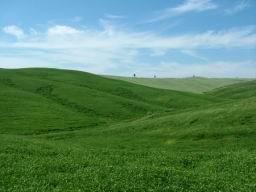 Val d'Orcia