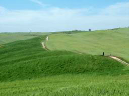 Toscany landscape