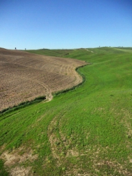 siena_015.JPG