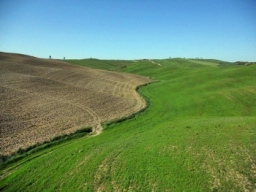 siena_016.JPG