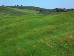 siena_017.JPG