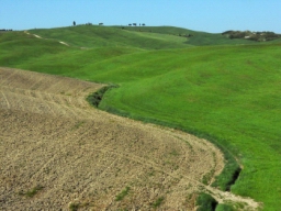 siena_018.JPG
