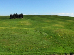 siena_019.JPG