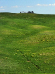siena_021.JPG