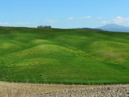 siena_027.JPG