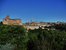 siena_085.JPG