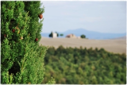 val_dorcia_DSC_7731.JPG