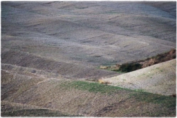 val_dorcia_DSC_7744.JPG