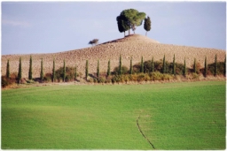 val_dorcia_DSC_7753.JPG