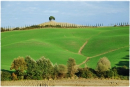 val_dorcia_DSC_7755.JPG