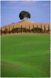 val_dorcia_DSC_7756.JPG