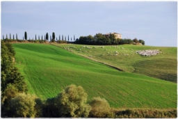 val_dorcia_DSC_7758.JPG