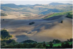 val_dorcia_DSC_7997.JPG