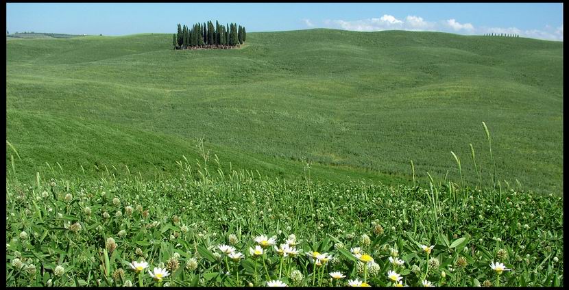 Val d'Orcia