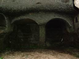 DSCF6282.JPG