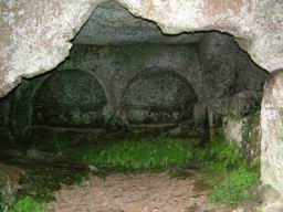 DSCF6326.JPG